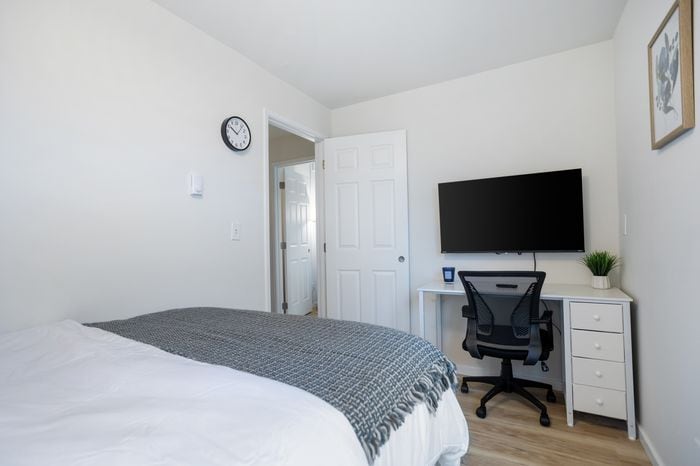 Deluxe JR at Emerson Apartments, photo 2