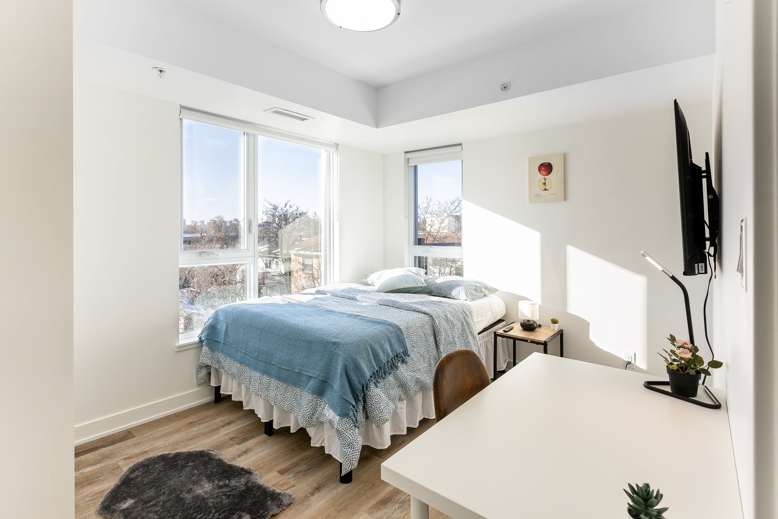 Deluxe Premium at Sandy Hill, photo 2