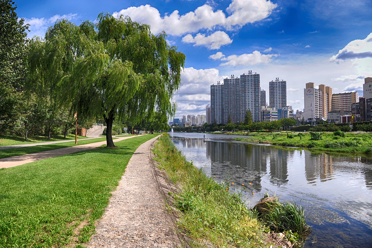 View of Daegu, South Korea